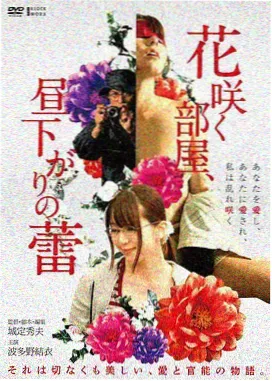 月亮电影网标本墙第六格标本师的手记的桌面画面